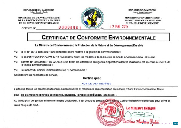 Angola LNG proof of address utility bill template in Word and PDF format Angola LNG proof of address utility bill template in Word and PDF format